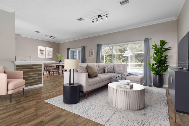 living room with crown molding, a textured ceiling, track lighting, and dark hardwood / wood-style flooring