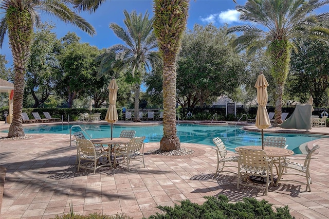 view of pool featuring a patio