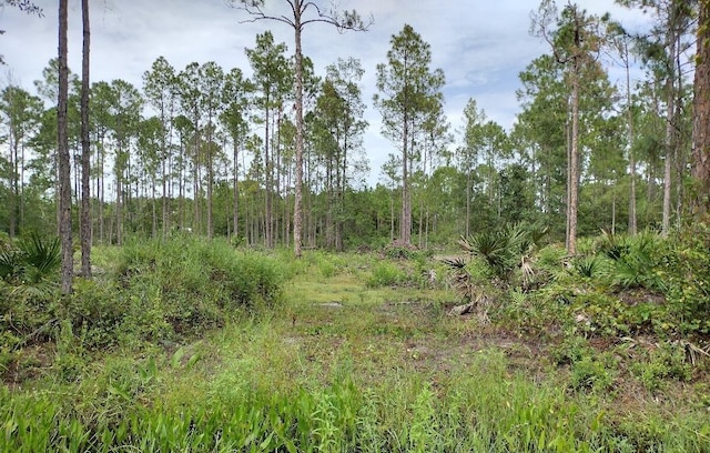 5814 Mahogany Blvd, Bunnell FL, 32110 land for sale