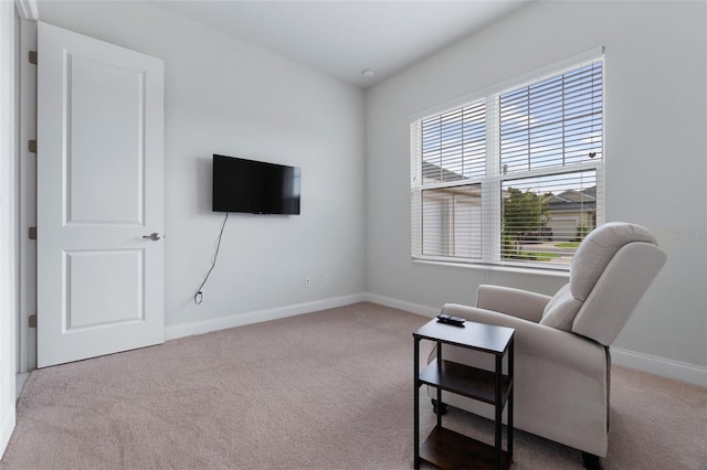 sitting room with carpet flooring