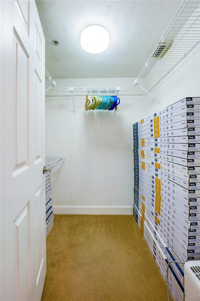 spacious closet with light colored carpet