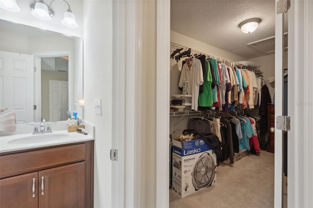 walk in closet featuring light carpet and sink