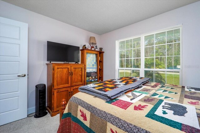 bedroom featuring multiple windows, a textured ceiling, and light colored carpet