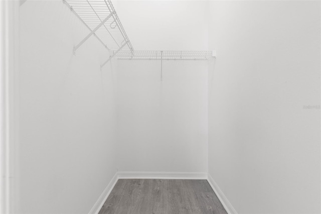 walk in closet with wood-type flooring