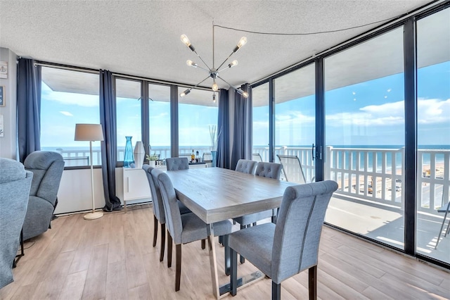 dining space featuring light wood-type flooring, a healthy amount of sunlight, a water view, and floor to ceiling windows