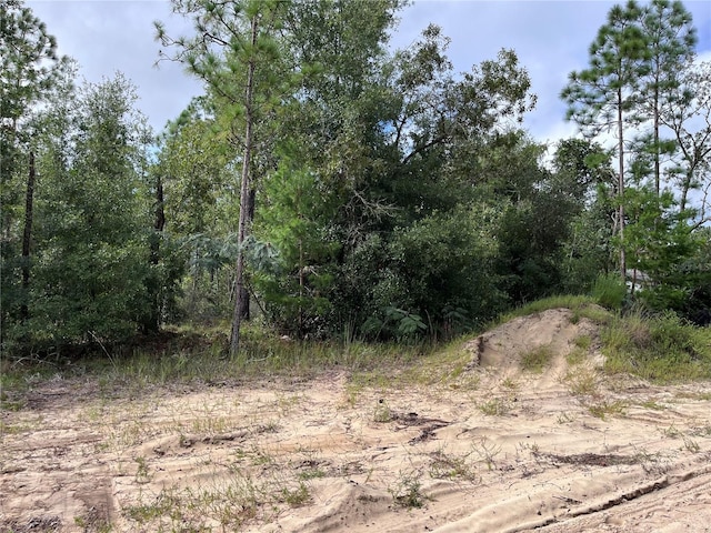 6279 Drake Ave, Keystone Heights FL, 32656 land for sale