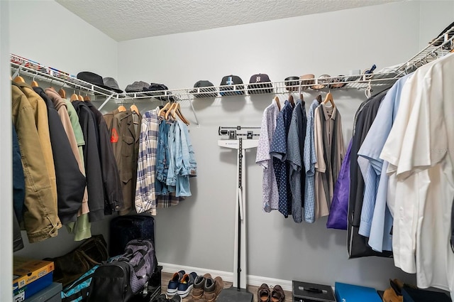 view of spacious closet