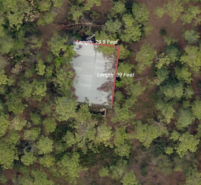 4641 Herin Dr, New Smyrna Beach, FL 32168 - photo 2