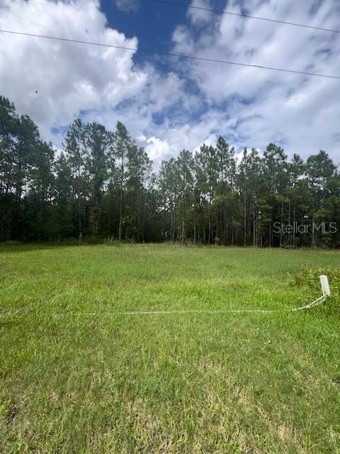 4641 Herin Dr, New Smyrna Beach, FL 32168 - photo 4