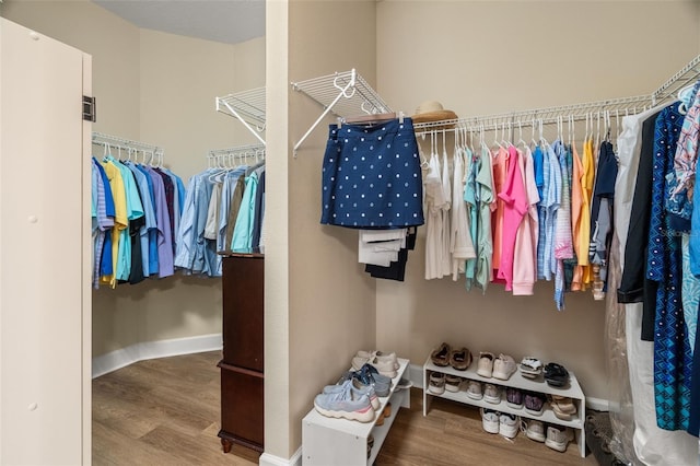 spacious closet with wood-type flooring