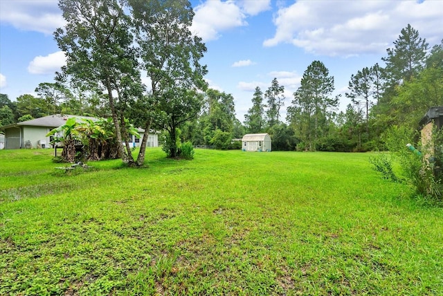 view of yard featuring a storage unit