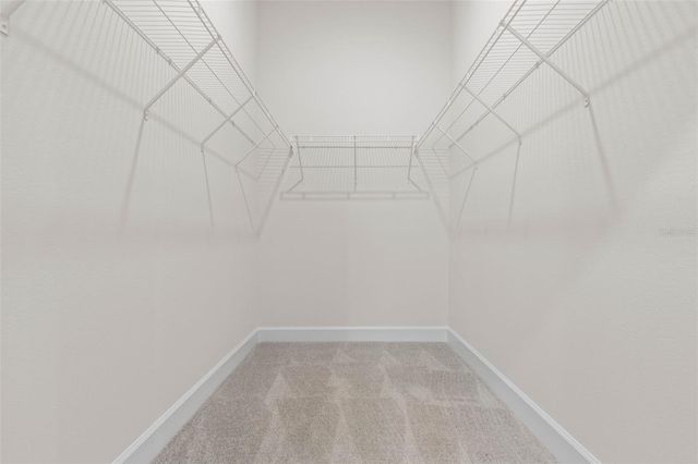 17 Service Berry Pl, Palm Coast, FL 32164 - spacious closet featuring carpet