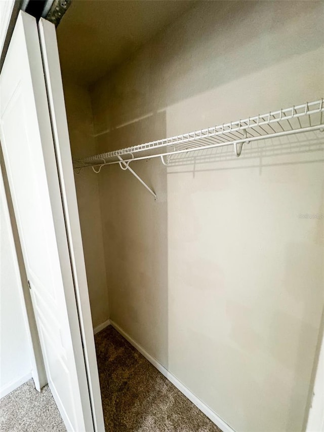 spacious closet featuring carpet flooring