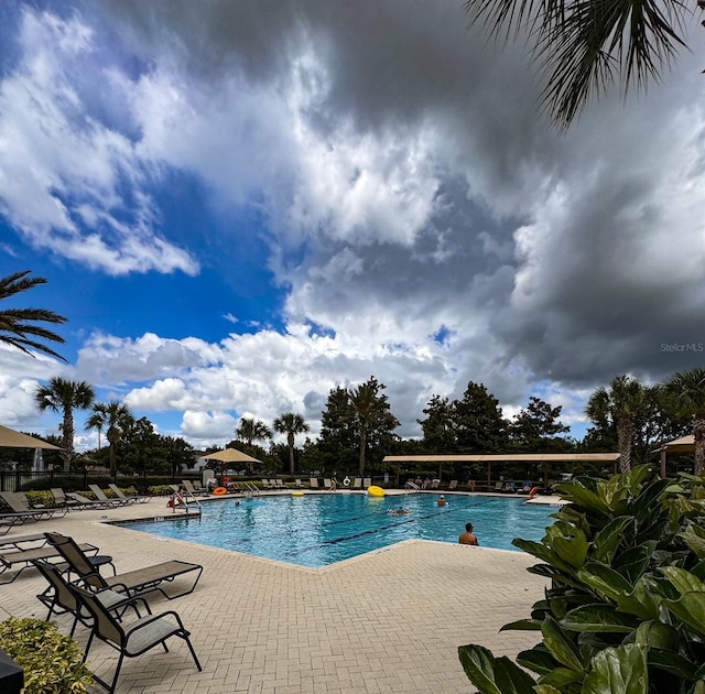 view of swimming pool with a patio area