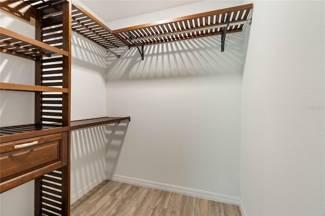 walk in closet featuring light hardwood / wood-style floors