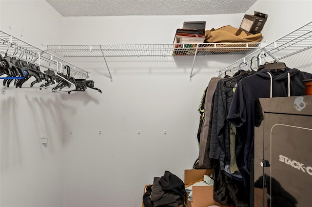 view of walk in closet