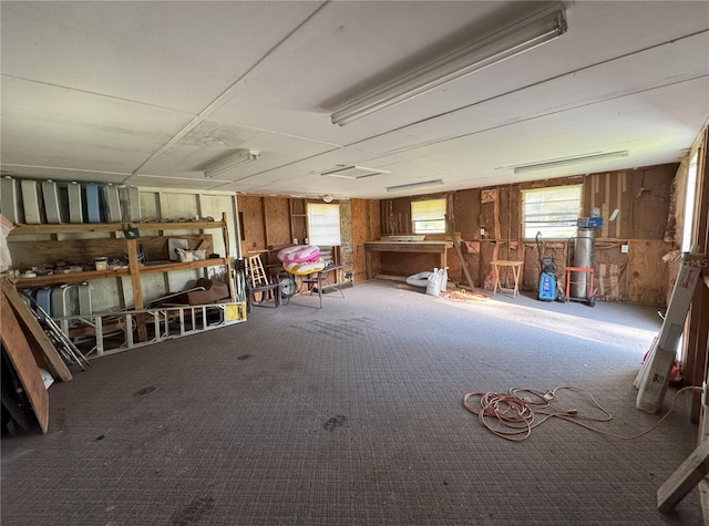 misc room with carpet flooring and wooden walls