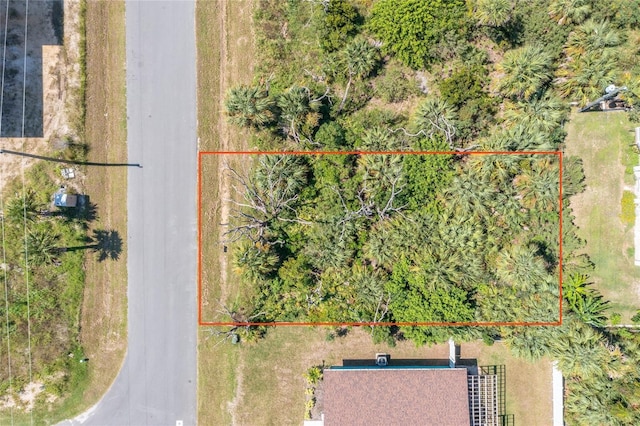 31 Rollins Dr, Palm Coast, FL 32137 - photo 6