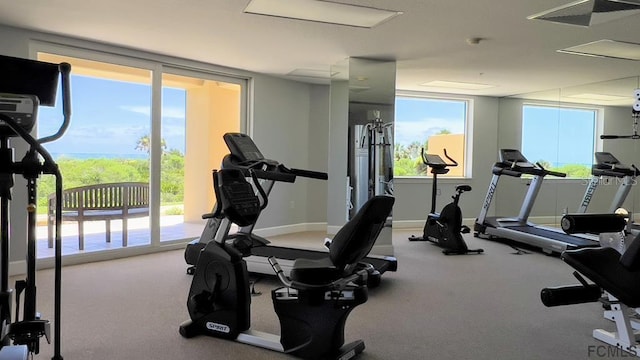 exercise room with plenty of natural light