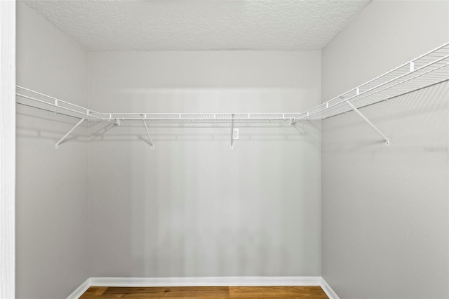 walk in closet featuring hardwood / wood-style floors