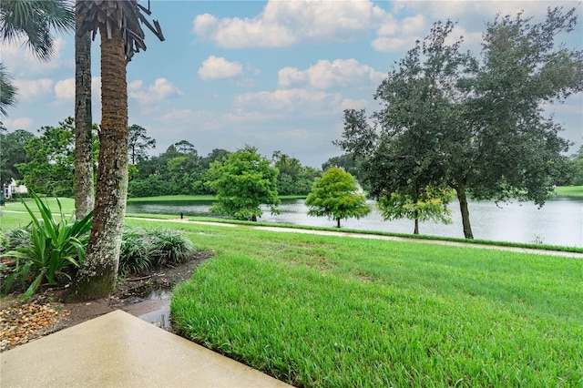 view of community with a water view and a yard