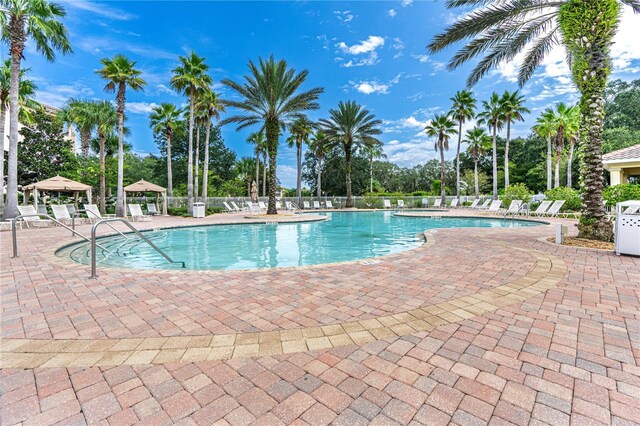 view of swimming pool with a patio