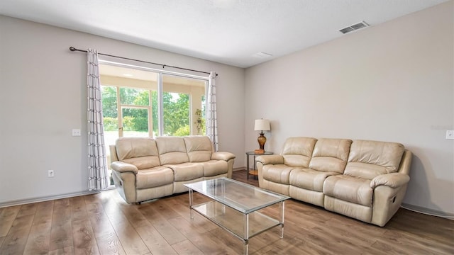 living room featuring wood-type flooring