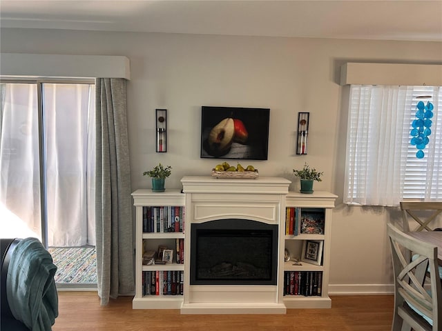 610 Ocean Marina Dr Unit 106, Flagler Beach, FL 32136 - living area featuring baseboards, wood finished floors, and a glass covered fireplace