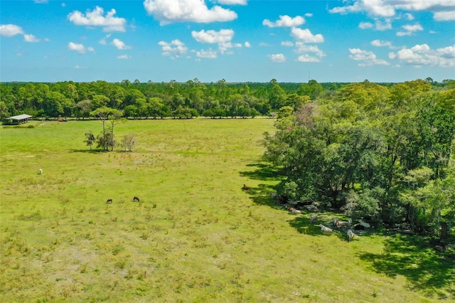 560SIDEB County Road 65, Bunnell FL, 32110 land for sale