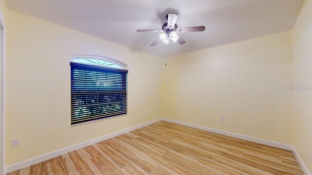 spare room with ceiling fan and light hardwood / wood-style floors