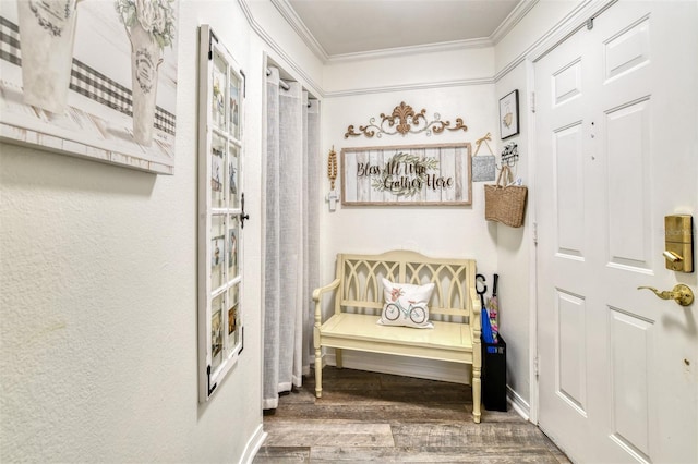 110 Ocean Hollow Ln Unit 101, Saint Augustine, FL 32084 - entrance foyer featuring crown molding and wood finished floors