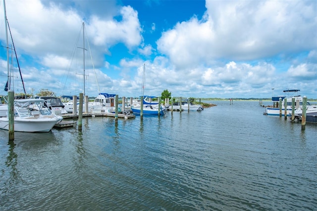 110 Ocean Hollow Ln Unit 101, Saint Augustine, FL 32084 - dock with a water view
