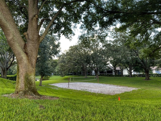 view of community with a yard