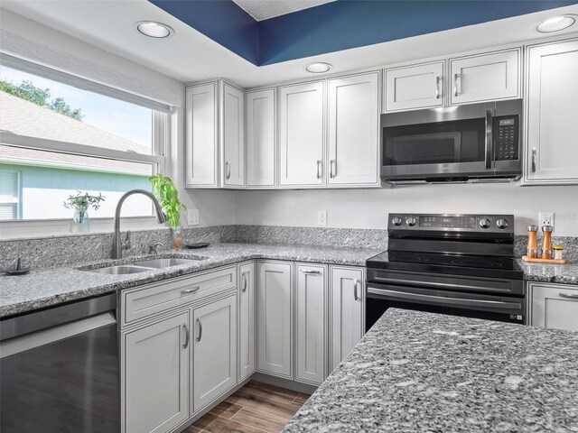 kitchen featuring dark hardwood / wood-style flooring, stainless steel appliances, light stone countertops, and sink