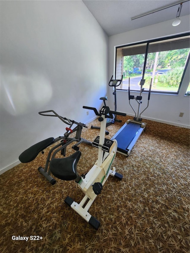 workout area featuring rail lighting and vaulted ceiling