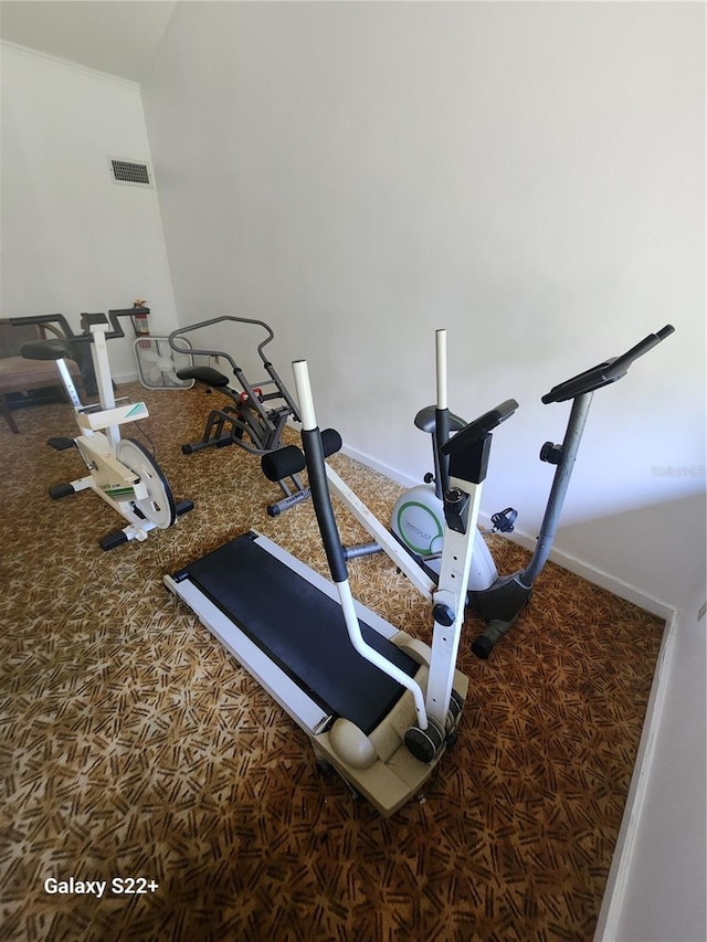 exercise room featuring carpet