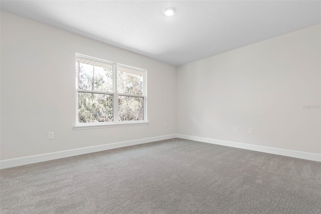 unfurnished room featuring carpet