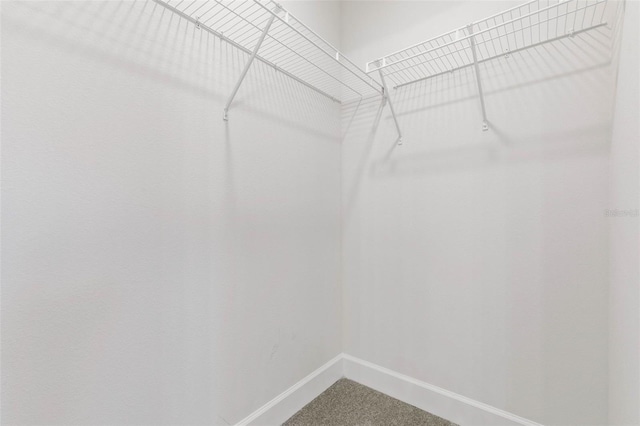 walk in closet featuring carpet flooring