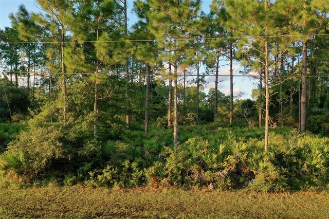 71 Sea Trl, Palm Coast, FL 32164