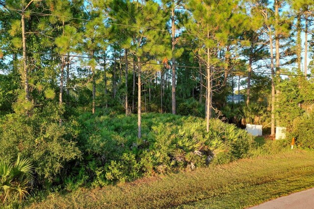 71 Sea Trl, Palm Coast, FL 32164