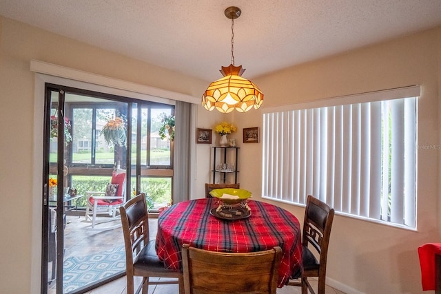 dining room featuring a textured ceiling