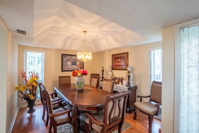 dining room with a textured ceiling, wood-type flooring, a raised ceiling, and a wealth of natural light