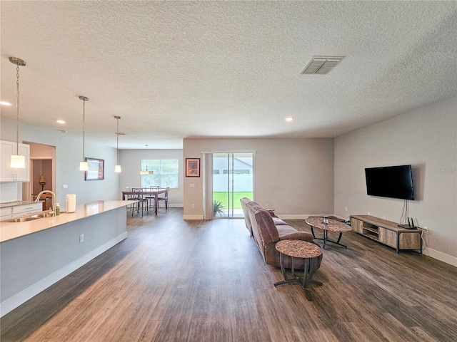 living room featuring a textured ceiling, dark wood-type flooring, and sink