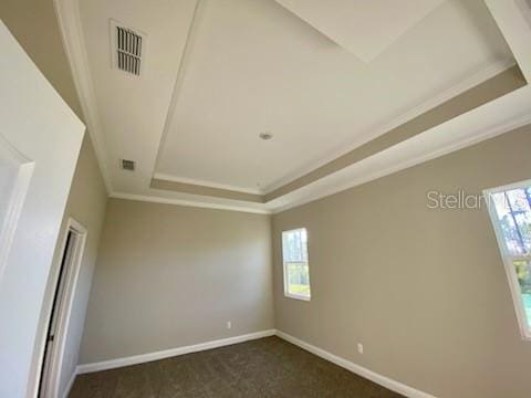 carpeted spare room with a tray ceiling and ornamental molding