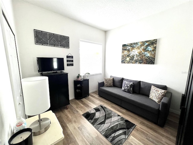 living room featuring hardwood / wood-style flooring and a textured ceiling