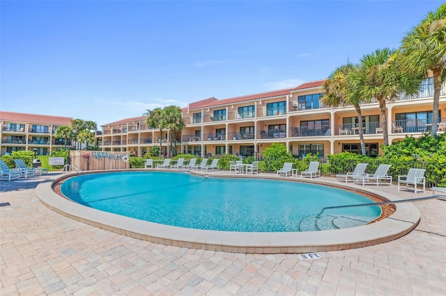 view of swimming pool with a patio area