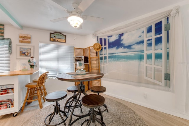 dining space featuring ceiling fan, light hardwood / wood-style floors, and a healthy amount of sunlight