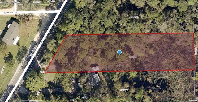 County Road 445a, Astor FL, 32102 land for sale