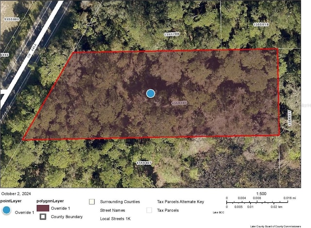 County Road 445a, Astor FL, 32102 land for sale