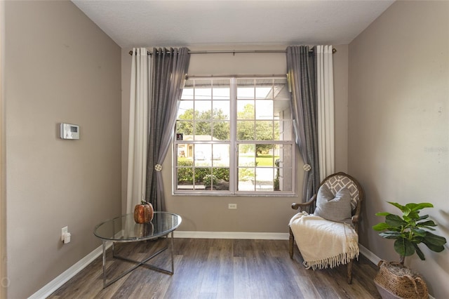 living area with dark hardwood / wood-style flooring